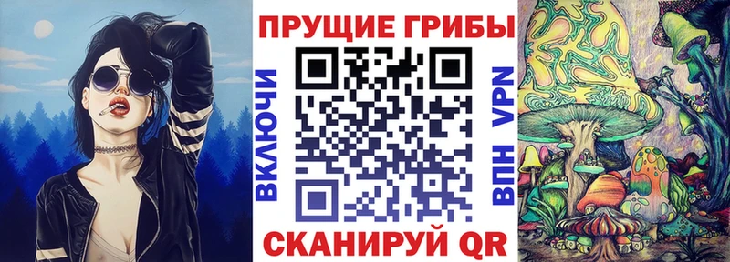 hydra ТОР  Губаха  Псилоцибиновые грибы Psilocybe  дарнет шоп 